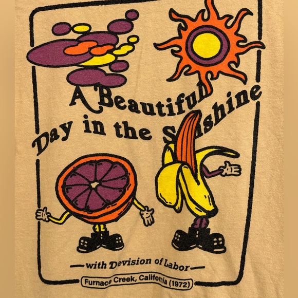 Division of Labor Beautiful Day in the Sunshine Unisex M T-Shirt Death Valley CA - Picture 2 of 6